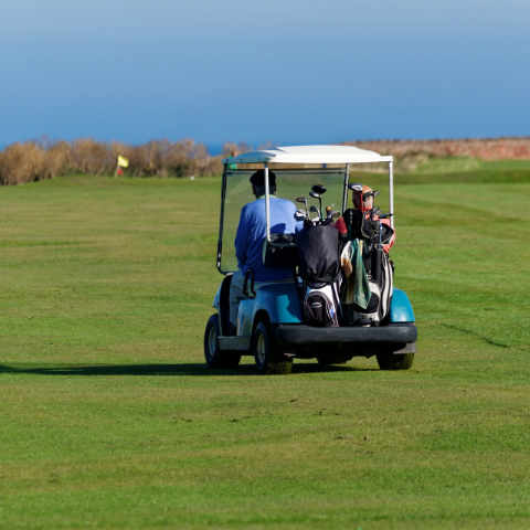 Man driving a golf car